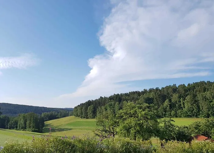 Zirbenholzwohnung Lochau *