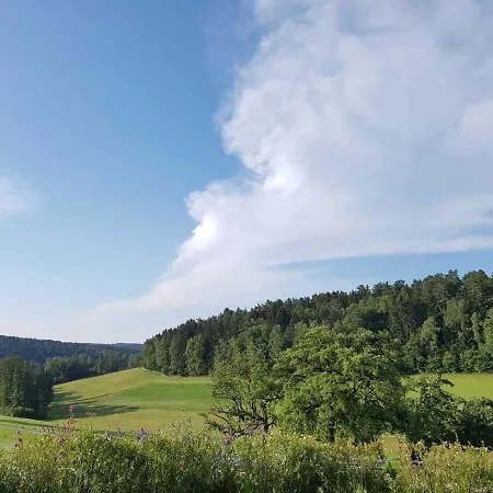 Zirbenholzwohnung Lochau *