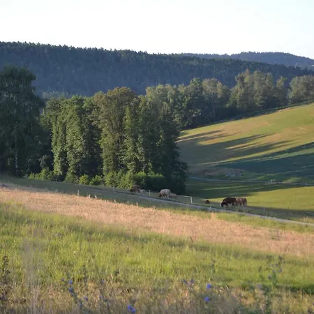 Zirbenholzwohnung Lochau Διαμέρισμα Eckersdorf