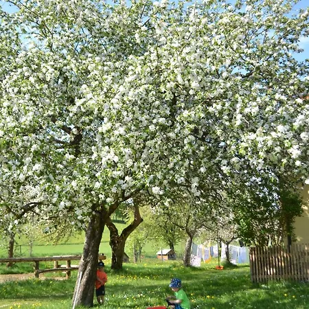 Διαμέρισμα Zirbenholzwohnung Lochau *